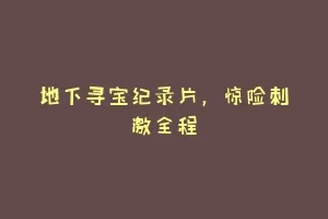 地下寻宝纪录片，惊险刺激全程