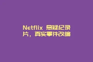 Netflix 悬疑纪录片，真实事件改编