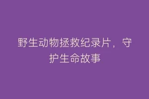 野生动物拯救纪录片，守护生命故事