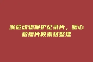 濒危动物保护纪录片,暖心救援片段素材整理缩略图 濒危动物保护纪录片,暖心救援片段素材整理