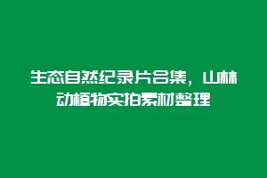 生态自然纪录片合集,山林动植物实拍素材整理缩略图 生态自然纪录片合集,山林动植物实拍素材整理