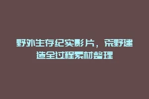 野外生存纪实影片,荒野建造全过程素材整理缩略图 野外生存纪实影片,荒野建造全过程素材整理