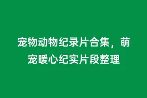 宠物动物纪录片合集,萌宠暖心纪实片段整理缩略图 宠物动物纪录片合集,萌宠暖心纪实片段整理