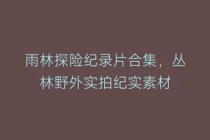 雨林探险纪录片合集,丛林野外实拍纪实素材缩略图 雨林探险纪录片合集,丛林野外实拍纪实素材
