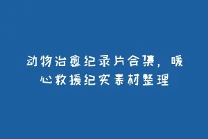 动物治愈纪录片合集,暖心救援纪实素材整理缩略图 动物治愈纪录片合集,暖心救援纪实素材整理