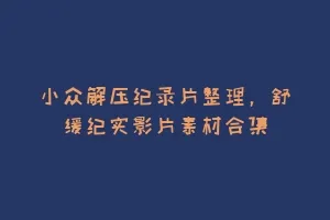 小众解压纪录片整理,舒缓纪实影片素材合集缩略图 小众解压纪录片整理,舒缓纪实影片素材合集