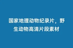 国家地理动物纪录片,野生动物高清片段素材缩略图 国家地理动物纪录片,野生动物高清片段素材
