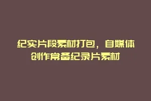 纪实片段素材打包,自媒体创作常备纪录片素材缩略图 纪实片段素材打包,自媒体创作常备纪录片素材
