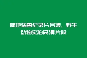 陆地猛兽纪录片合集,野生动物实拍高清片段缩略图 陆地猛兽纪录片合集,野生动物实拍高清片段