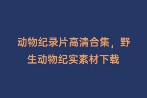 动物纪录片高清合集,野生动物纪实素材下载缩略图 动物纪录片高清合集,野生动物纪实素材下载