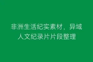 非洲生活纪实素材,异域人文纪录片片段整理缩略图 非洲生活纪实素材,异域人文纪录片片段整理