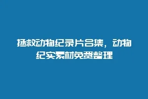 拯救动物纪录片合集,动物纪实素材免费整理缩略图 拯救动物纪录片合集,动物纪实素材免费整理