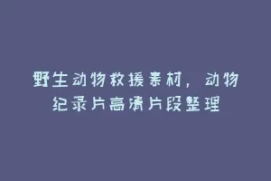 野生动物救援素材,动物纪录片高清片段整理缩略图 野生动物救援素材,动物纪录片高清片段整理