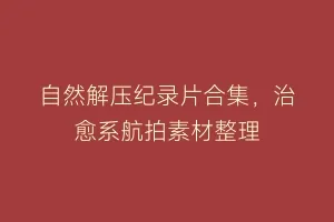 自然解压纪录片合集,治愈系航拍素材整理缩略图 自然解压纪录片合集,治愈系航拍素材整理