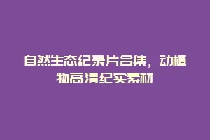 自然生态纪录片合集,动植物高清纪实素材缩略图 自然生态纪录片合集,动植物高清纪实素材