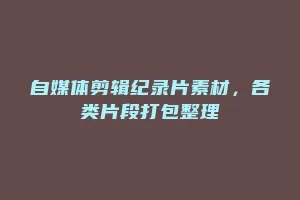 自媒体剪辑纪录片素材,各类片段打包整理缩略图 自媒体剪辑纪录片素材,各类片段打包整理