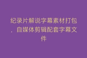 纪录片解说字幕素材打包,自媒体剪辑配套字幕文件缩略图 纪录片解说字幕素材打包,自媒体剪辑配套字幕文件