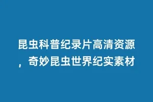 昆虫科普纪录片高清资源,奇妙昆虫世界纪实素材缩略图 昆虫科普纪录片高清资源,奇妙昆虫世界纪实素材