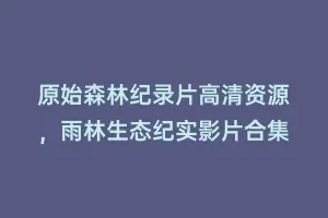 原始森林纪录片高清资源,雨林生态纪实影片合集缩略图 原始森林纪录片高清资源,雨林生态纪实影片合集