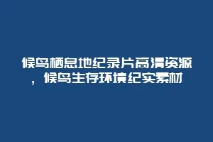 候鸟栖息地纪录片高清资源,候鸟生存环境纪实素材缩略图 候鸟栖息地纪录片高清资源,候鸟生存环境纪实素材