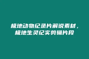 极地动物纪录片解说素材,极地生灵纪实剪辑片段缩略图 极地动物纪录片解说素材,极地生灵纪实剪辑片段