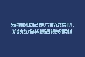 宠物救助纪录片解说素材,流浪动物救援短视频素材缩略图 宠物救助纪录片解说素材,流浪动物救援短视频素材