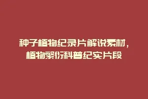 种子植物纪录片解说素材，植物繁衍科普纪实片段