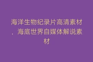 海洋生物纪录片高清素材,海底世界自媒体解说素材缩略图 海洋生物纪录片高清素材,海底世界自媒体解说素材