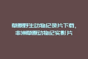 草原野生动物纪录片下载,非洲草原动物纪实影片缩略图 草原野生动物纪录片下载,非洲草原动物纪实影片