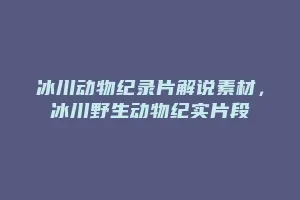 冰川动物纪录片解说素材,冰川野生动物纪实片段缩略图 冰川动物纪录片解说素材,冰川野生动物纪实片段