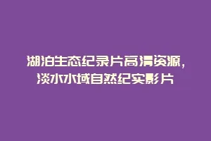 湖泊生态纪录片高清资源,淡水水域自然纪实影片缩略图 湖泊生态纪录片高清资源,淡水水域自然纪实影片