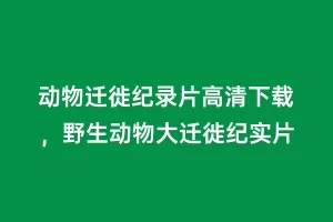 动物迁徙纪录片高清下载,野生动物大迁徙纪实片缩略图 动物迁徙纪录片高清下载,野生动物大迁徙纪实片
