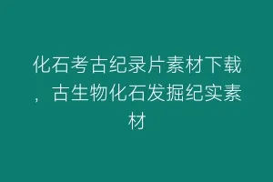 化石考古纪录片素材下载,古生物化石发掘纪实素材缩略图 化石考古纪录片素材下载,古生物化石发掘纪实素材