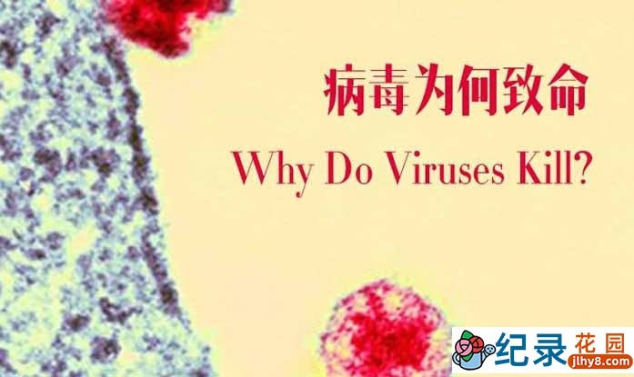 BBC传染病科普纪录片《病毒为何致命 Why Do Viruses Kill》全1集