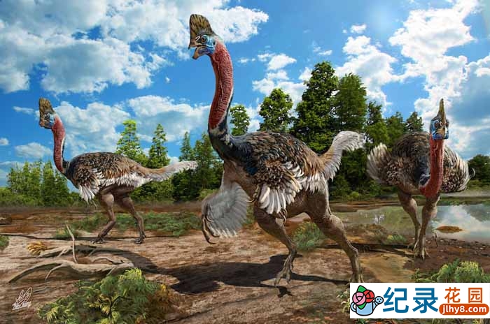 国家地理生物进化纪录片《演化足迹 迅猛火鸡 Dino Turkey》全1集 720P/1080i高清纪录片百度云下载插图