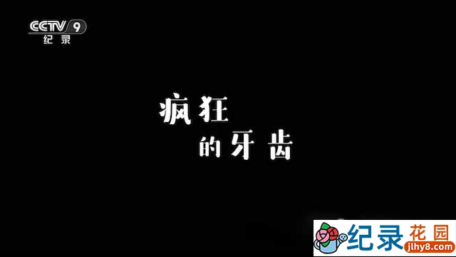 央视生命探索纪录片《疯狂的牙齿》全1集