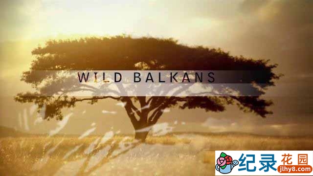 PBS自然生态纪录片《野性的巴尔干 Wild Balkans》全1集 720P/1080i高清纪录片百度云下载插图