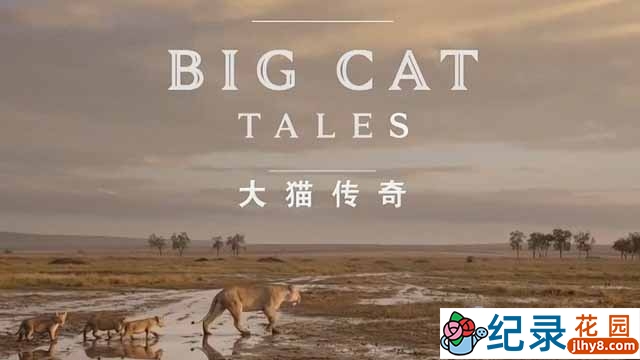 央视野生动物纪录片《大千世界 大猫传奇 Big Cat Tales》全5集