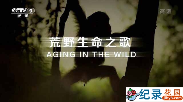 央视野生动物纪录片《荒野生命之歌 Aging in the Wild》全5集