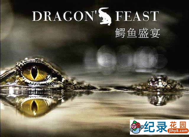 国家地理生命探索纪录片《鳄鱼盛宴 Dragon Feast》全1集 720P/1080i高清纪录片百度云下载插图