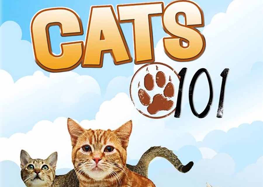 喵星人百科纪录片《猫咪101 Cats 101》第1季全5集中字 纪录片解说素材百度云盘下载 1080/MP4/7.03G插图