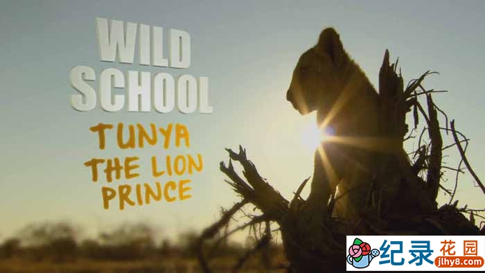BBC南美自然生态纪录片《野蛮学校 Wild School》全6集中字 TS/蓝光高清纪录片资源百度云盘下载插图