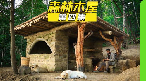 从泥土到殿堂：为什么这几部“荒野搭建”纪录片，是你深夜最硬核的救赎？插图1