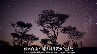 穿越赤道的灵魂震颤：这份非洲纪录片下载指南，带你领略万物生长的极致野性插图2