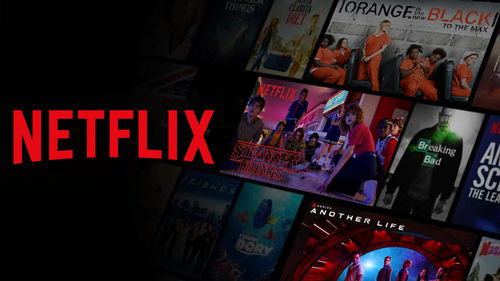 纵览寰宇：Netflix纪录片下载全攻略，把顶级电影院装进你的口袋插图1