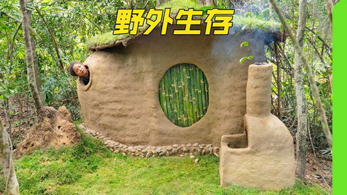 从钢筋水泥到原始森林：荒野搭建纪录片，藏着成年人最后的精神乌托邦插图1