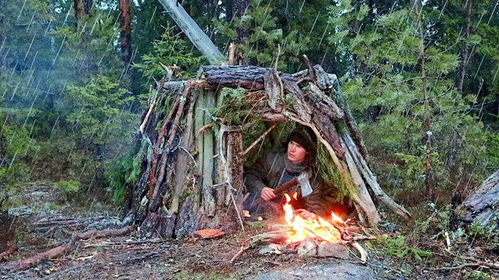 从钢筋水泥到原始森林：荒野搭建纪录片，藏着成年人最后的精神乌托邦插图2