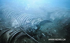 穿越世纪的黄金回响：为什么你的硬盘里永远缺一部顶级寻宝纪录片？插图3