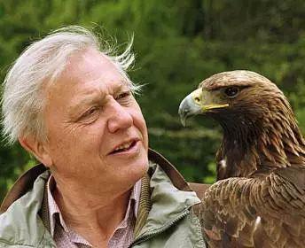 从星尘到深渊：BBC纪录片——一场永不落幕的感官盛宴与思想远征插图