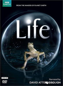 穿越文明的深处：为何顶级玩家都在悄悄构建个人纪录片库？插图